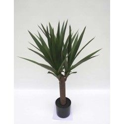 1 Vaso Yucca (M2) - Plantas Com Vaso