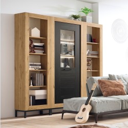 Living Room Bookcase Gnesis 005 - Estantes