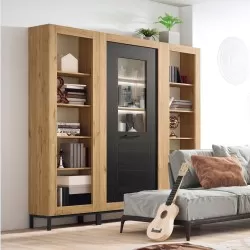 Living Room Bookcase Gnesis 005 - Estantes