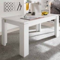 Extendable Lounge Table Ref 866162.01 407
