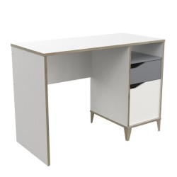 Genius Desk - Desks