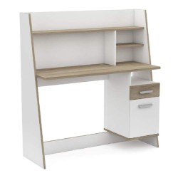 Bualy Desk - Desks
